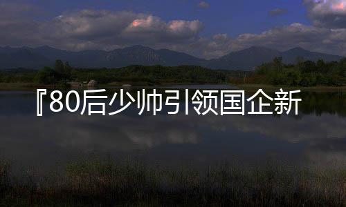 『80后少帥引領(lǐng)國企新時(shí)代——重任執(zhí)掌價(jià)值千億集團(tuán)的探索之旅』
