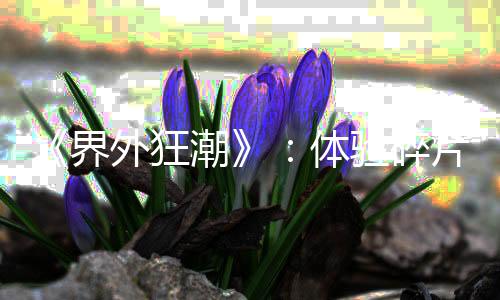 《界外狂潮》：體驗碎片對決與團(tuán)隊競技的極致樂趣
