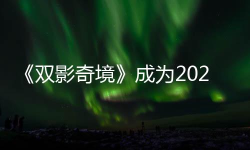 《雙影奇境》成為2025年M站均分最高的作品 合作游戲新標(biāo)桿