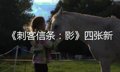 《刺客信條：影》四張新截圖 其中一張嚇壞國(guó)外玩家