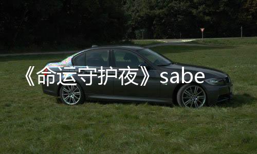 《命運(yùn)守護(hù)夜》saber新手辦  竟能放ex咖喱棒