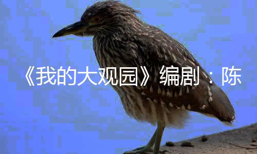 《我的大觀園》編?。宏慃惥尜Z寶玉符合當下審美