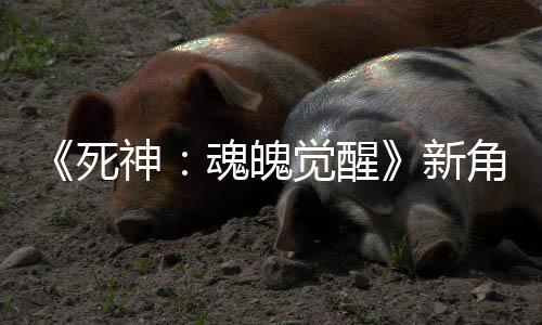 《死神：魂魄覺醒》新角色預(yù)告：志波海燕
