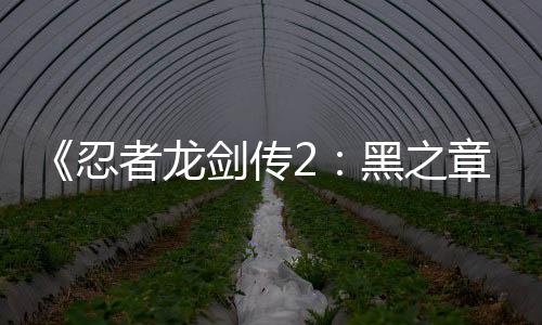 《忍者龍劍傳2：黑之章》更新補(bǔ)丁將在2月中旬發(fā)布