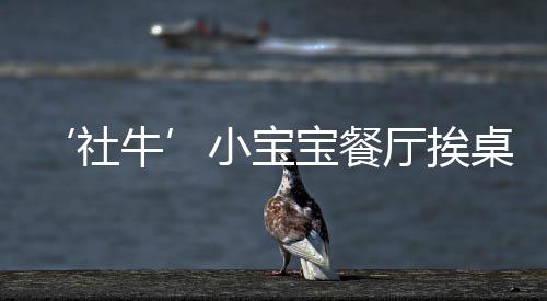 ‘社?！殞毑蛷d挨桌打招呼，展現(xiàn)非凡社交天賦
