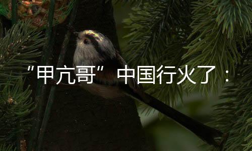 “甲亢哥”中國(guó)行火了：跨文化對(duì)話其實(shí)可以很簡(jiǎn)單