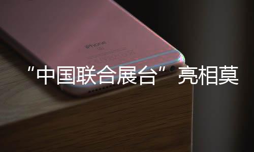 “中國聯(lián)合展臺(tái)”亮相莫斯科世界內(nèi)容市場(chǎng)交易展