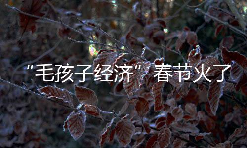 “毛孩子經(jīng)濟”春節(jié)火了 你家萌寵這個節(jié)怎么過？