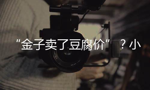 “金子賣了豆腐價”？小金屬獨(dú)特價值待深挖