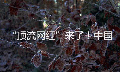 “頂流網(wǎng)紅”來(lái)了！中國(guó)大熊貓萌翻美國(guó)華盛頓