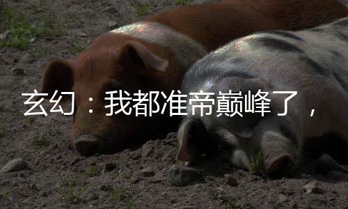 玄幻：我都準(zhǔn)帝巔峰了，才來系統(tǒng)