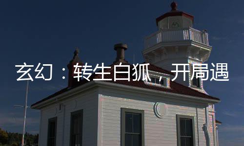 玄幻：轉生白狐，開局遇仙人指路