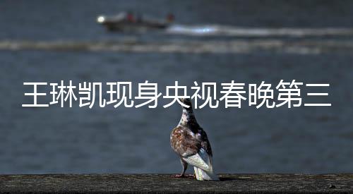 王琳凱現(xiàn)身央視春晚第三次聯(lián)排，備受矚目的音樂才子驚艷全場(chǎng)