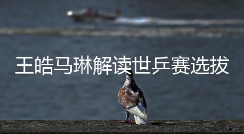 王皓馬琳解讀世乒賽選拔標準，以實力為核心，打造乒壇精英團隊
