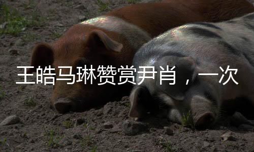 王皓馬琳贊賞尹肖，一次跨界的鼓舞與肯定