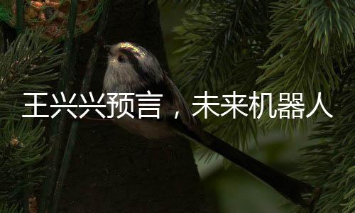 王興興預(yù)言，未來(lái)機(jī)器人將縮小至細(xì)胞大小，科技革新引領(lǐng)新時(shí)代