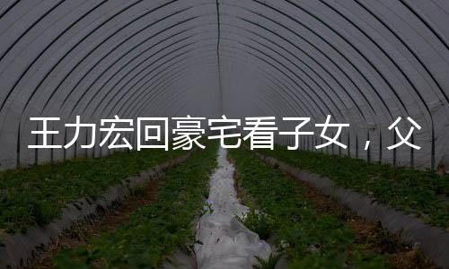 王力宏回豪宅看子女，父愛如山，溫馨團(tuán)聚時(shí)刻