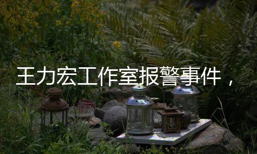 王力宏工作室報(bào)警事件，揭秘背后真相