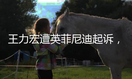 王力宏遭英菲尼迪起訴，一場(chǎng)涉及名譽(yù)與合作的紛爭(zhēng)