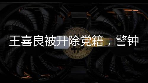 王喜良被開除黨籍，警鐘長鳴，警醒黨員干部廉潔自律