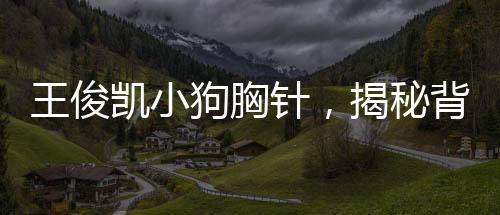 王俊凱小狗胸針，揭秘背后故事與獨特魅力