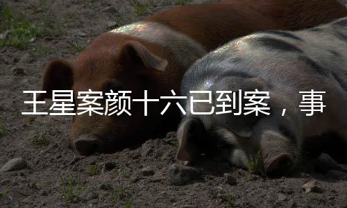 王星案顏十六已到案，事件詳細(xì)解析與后續(xù)關(guān)注