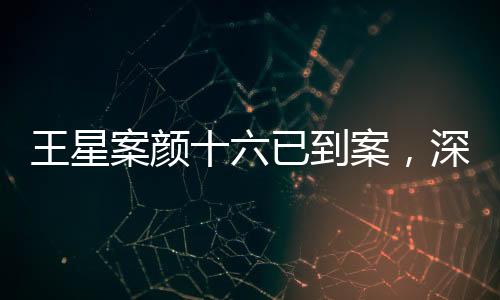王星案顏十六已到案，深度解析案件進(jìn)展與后續(xù)關(guān)注