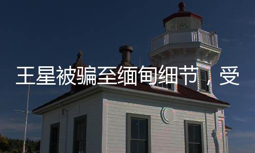 王星被騙至緬甸細節(jié)，受害者揭開悲慘遭遇的黑幕