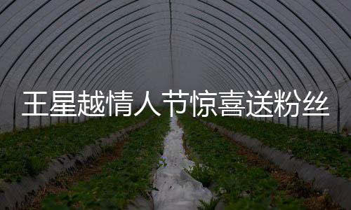 王星越情人節(jié)驚喜送粉絲玫瑰花，愛心傳遞感動無數(shù)粉絲