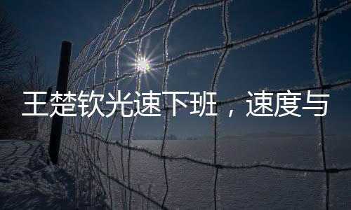 王楚欽光速下班，速度與效率的完美融合