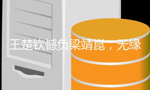 王楚欽憾負梁靖崑，無緣男單決賽