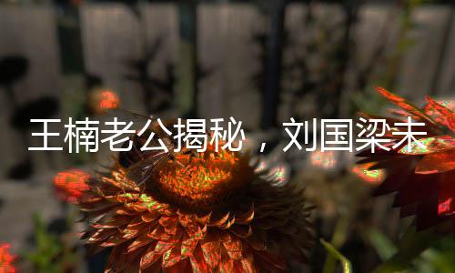 王楠老公揭秘，劉國(guó)梁未曾依賴國(guó)家資金一分一毫