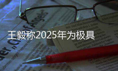 王毅稱2025年為極具歷史分量的年份，關(guān)鍵里程碑下的全球合作與愿景展望