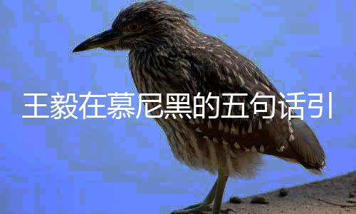 王毅在慕尼黑的五句話引起熱議，精準(zhǔn)表達(dá)揭示大國擔(dān)當(dāng)