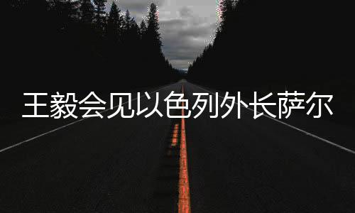王毅會見以色列外長薩爾，深化中以致遠的外交合作
