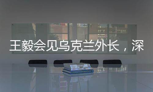 王毅會見烏克蘭外長，深化中烏友好合作，共謀發(fā)展繁榮