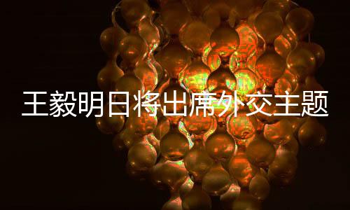 王毅明日將出席外交主題記者會，聚焦國際交流與政策解讀的十要點