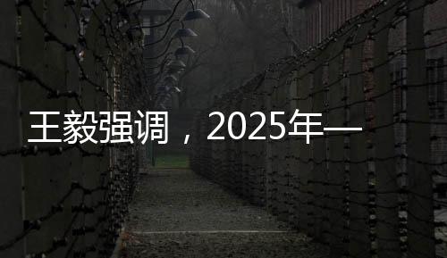 王毅強(qiáng)調(diào)，2025年——一個極具歷史分量的年份