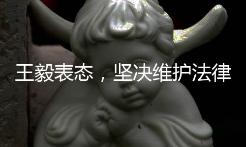 王毅表態(tài)，堅(jiān)決維護(hù)法律公正，絕不允許犯罪分子逍遙法外