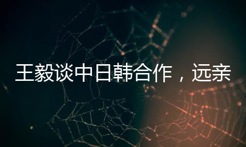 王毅談中日韓合作，遠(yuǎn)親不如近鄰