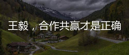 王毅，合作共贏才是正確選擇