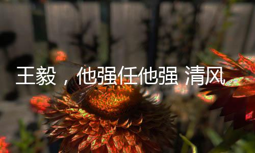 王毅，他強(qiáng)任他強(qiáng) 清風(fēng)拂山崗