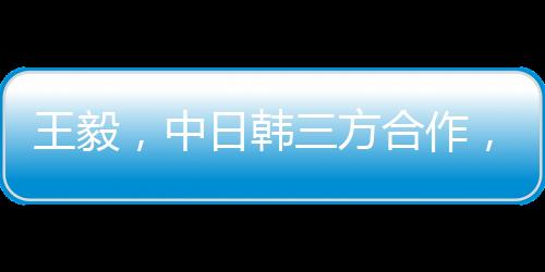 王毅，中日韓三方合作，遠(yuǎn)親不如近鄰