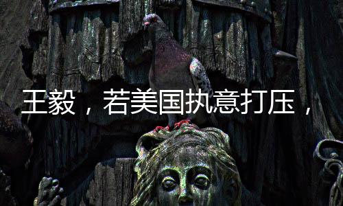 王毅，若美國(guó)執(zhí)意打壓，中國(guó)必將堅(jiān)定應(yīng)對(duì)到底