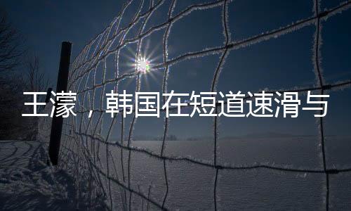 王濛，韓國(guó)在短道速滑與冰上散打的表現(xiàn)