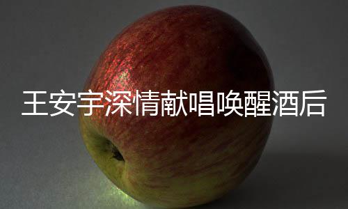王安宇深情獻(xiàn)唱喚醒酒后的閆妮，舞臺(tái)魅力驚艷四座