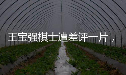 王寶強(qiáng)棋士遭差評(píng)一片，業(yè)界熱議其表現(xiàn)