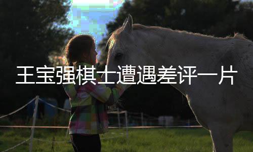 王寶強(qiáng)棋士遭遇差評一片，深度剖析其背后原因及影響