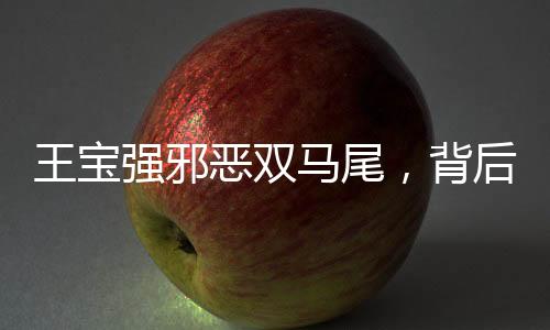 王寶強邪惡雙馬尾，背后的故事與爭議