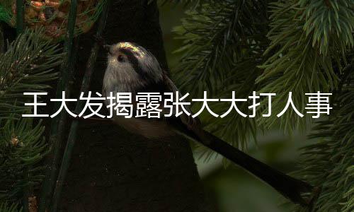 王大發(fā)揭露張大大打人事件，惡劣行為非首次